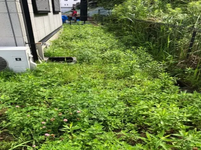 ◆女性スタッフ必ず同行◆広いお庭や空き地の草刈りを一気に！サービスの画像