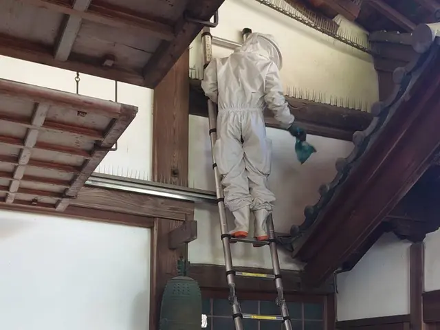 ★3つの安心★戻ハチ対策【忌避剤無料散布】【1W再営巣保証】【無料調査】サービスの画像