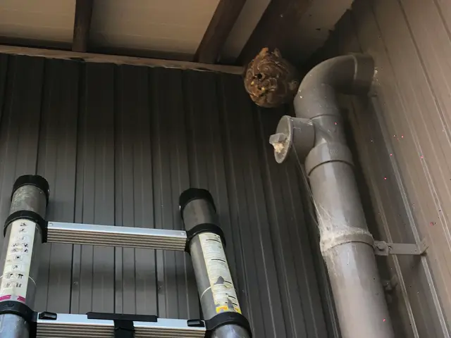 ★3つの安心★戻ハチ対策【忌避剤無料散布】【1W再営巣保証】【無料調査】サービスの画像