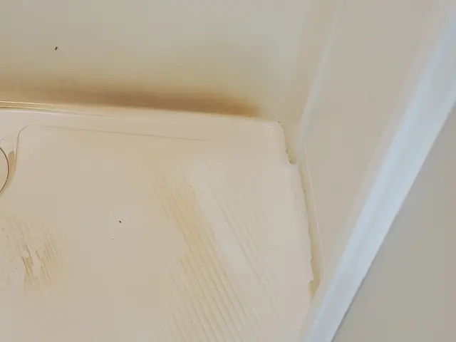 次のご入居様が快適に気持ちよくスタートできる様に一生懸命綺麗にさせて頂きます！サービスの画像