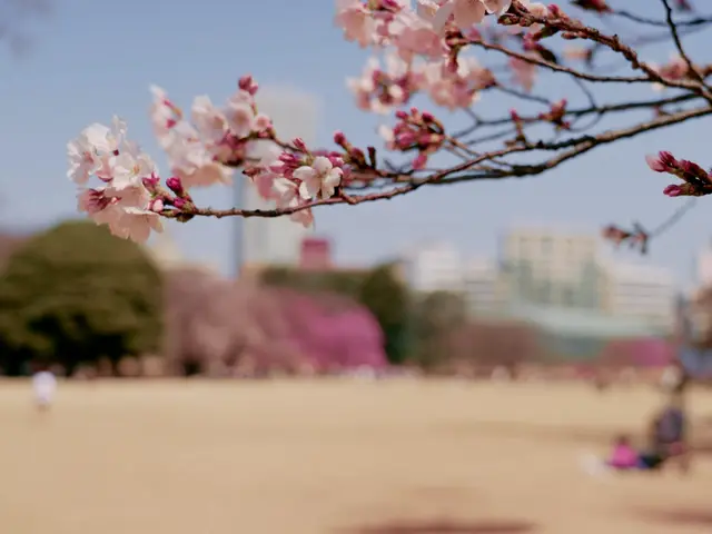 予約対応～撮影・納品まで当社スタッフがすべて対応します