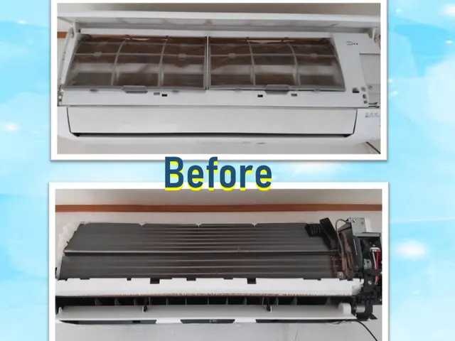 【天然植物エコ洗剤使用】２台目以降お得！損害保険加入済み万が一の場合も安心です◎サービスの画像