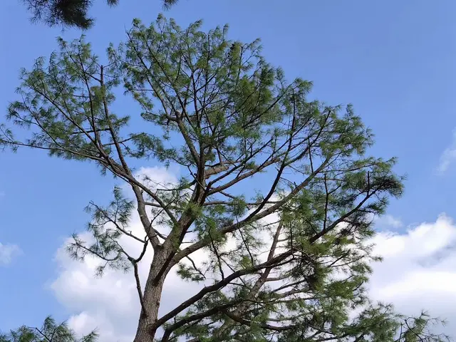 お客様のお力になります！経験と知識を活かして迅速丁寧に作業いたします！サービスの画像