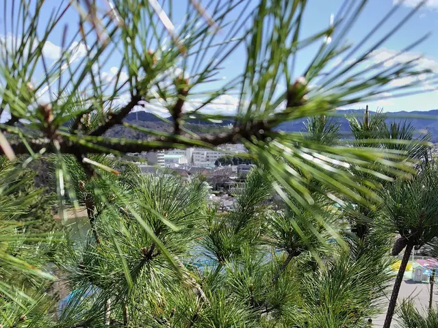 お客様のお力になります！経験と知識を活かして迅速丁寧に作業いたします！サービスの画像