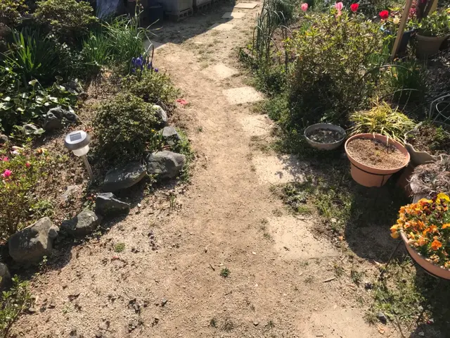 PayPay払い対応。サービスの画像