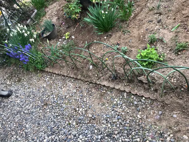 PayPay払い対応。サービスの画像