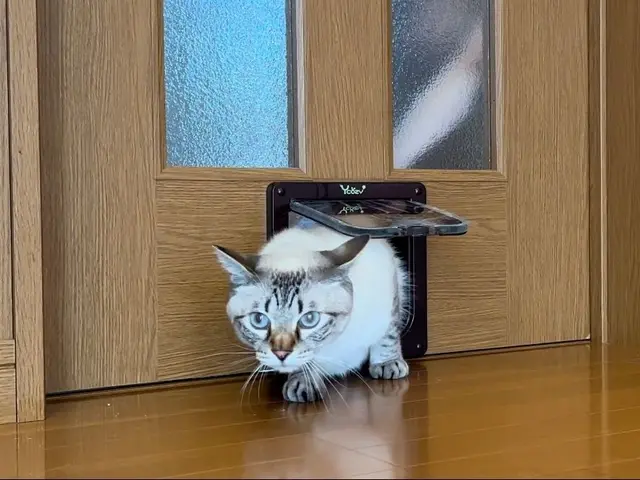 【大阪＠八尾市】対応地域外も相談可！損害保険加入済み◎心を込めて作業致します◎サービスの画像