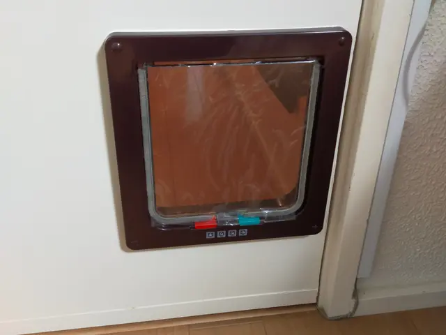 【大阪＠八尾市】対応地域外も相談可！損害保険加入済み◎心を込めて作業致します◎サービスの画像