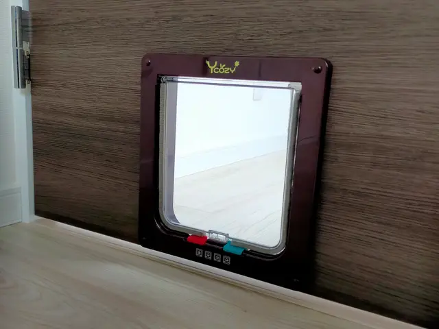 【大阪＠八尾市】対応地域外も相談可！損害保険加入済み◎心を込めて作業致します◎サービスの画像