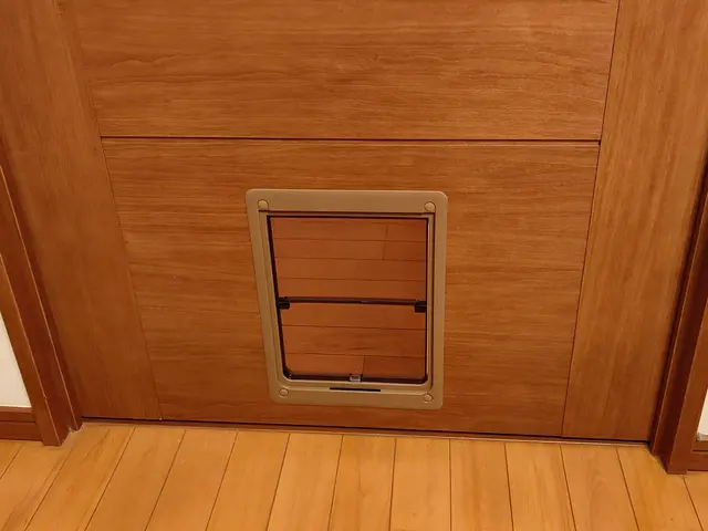 【大阪＠八尾市】対応地域外も相談可！損害保険加入済み◎心を込めて作業致します◎サービスの画像