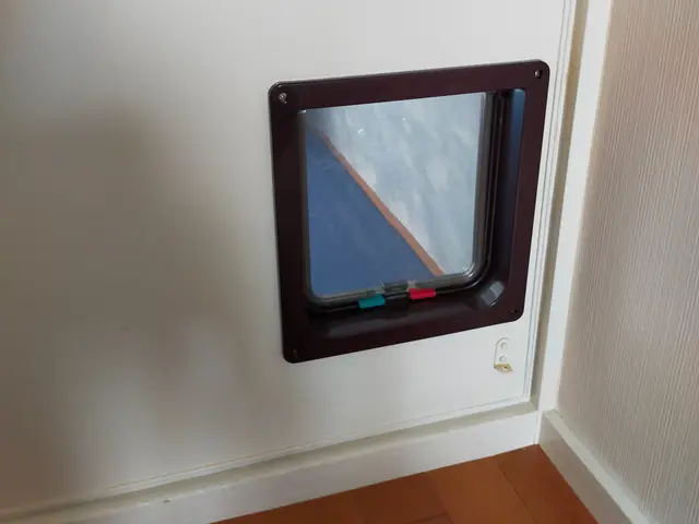 【大阪＠八尾市】対応地域外も相談可！損害保険加入済み◎心を込めて作業致します◎サービスの画像