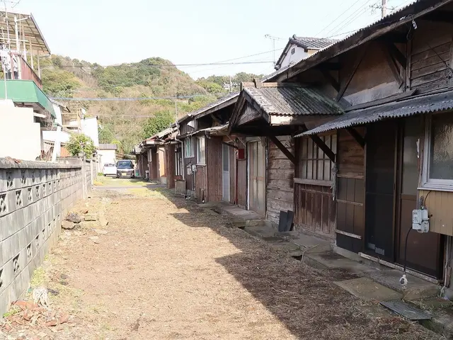 雑草どうにかしたいけど・・・どこからどうすれば・・・私共に丸投げして下さいサービスの画像