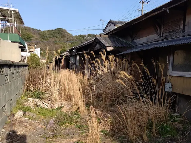 雑草どうにかしたいけど・・・どこからどうすれば・・・私共に丸投げして下さいサービスの画像