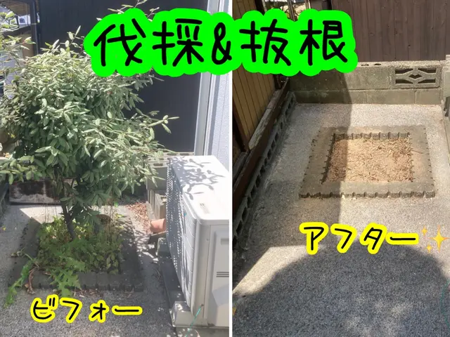 伐採抜根作業はお任せ下さい！終木活動のサポート致します！お庭のコンシェルジュサービスの画像