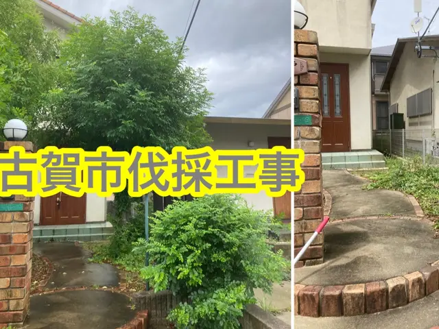 伐採抜根作業はお任せ下さい！終木活動のサポート致します！お庭のコンシェルジュサービスの画像