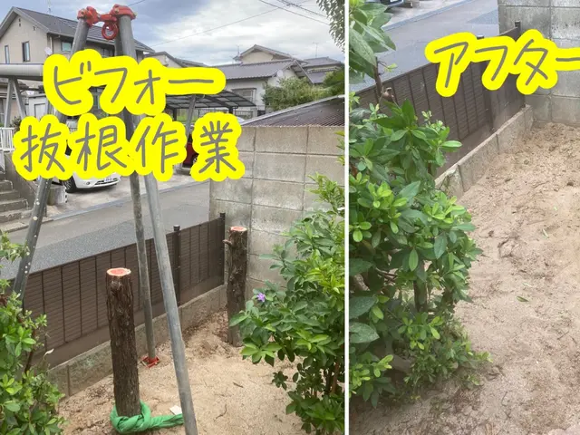 伐採抜根作業はお任せ下さい！終木活動のサポート致します！お庭のコンシェルジュサービスの画像