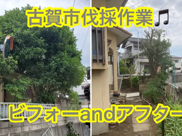 伐採抜根作業はお任せ下さい！終木活動のサポート致します！お庭のコンシェルジュサービスの画像