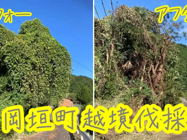 伐採抜根作業はお任せ下さい！終木活動のサポート致します！お庭のコンシェルジュサービスの画像