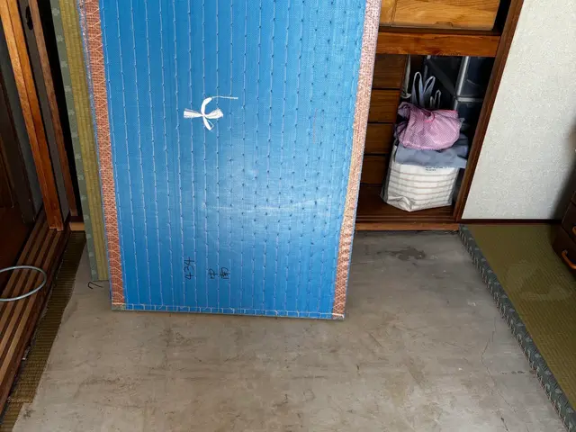 ☆新春キャンペーン料金50%オフ☆※予防のみの料金です【害虫駆除/トコジラミ】サービスの画像