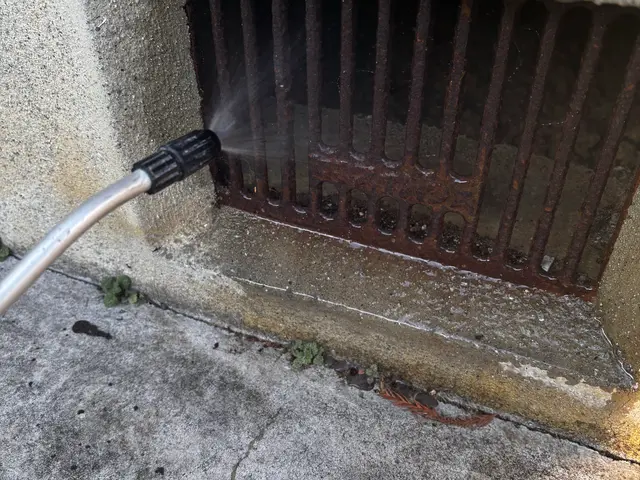 ☆新春キャンペーン料金50%オフ☆※予防のみの料金です【害虫駆除/トコジラミ】サービスの画像