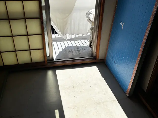 ☆新春キャンペーン料金50%オフ☆※予防のみの料金です【害虫駆除/トコジラミ】サービスの画像