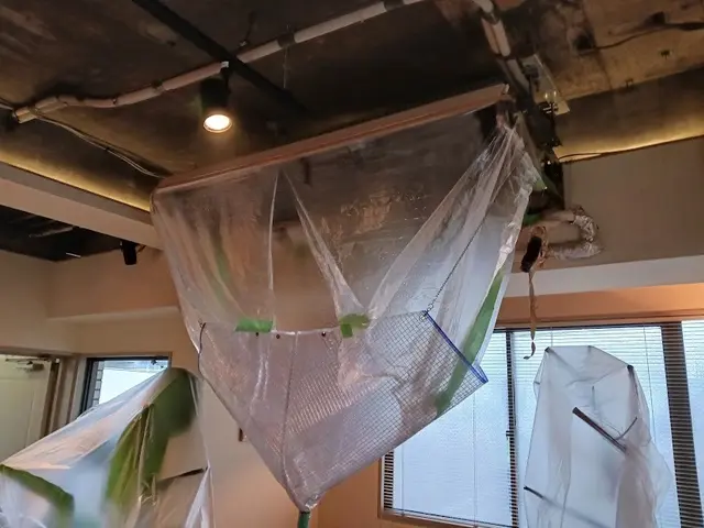 【ママ店長伺います】外注無★損害保険加入済★駐車場代店負担【2025年1月出店】サービスの画像