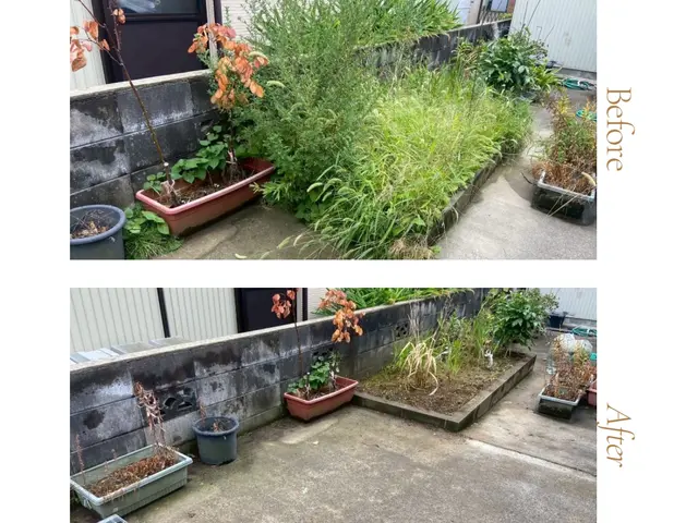 【北陸密着・満足保証】柔軟対応！丁寧な草むしり・清掃サービスの画像