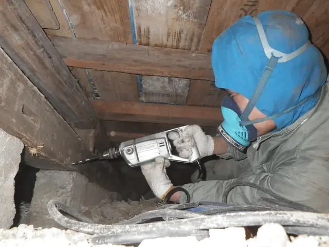 シロアリ予防、駆除★PayPay可★有資格者★5年保証★作業写真報告書付きで安心サービスの画像