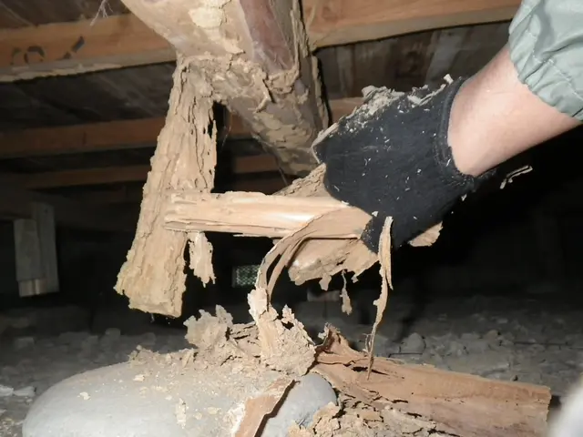 シロアリ予防、駆除★PayPay可★有資格者★5年保証★作業写真報告書付きで安心サービスの画像