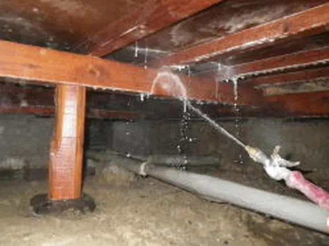 シロアリ予防、駆除★PayPay可★有資格者★5年保証★作業写真報告書付きで安心サービスの画像