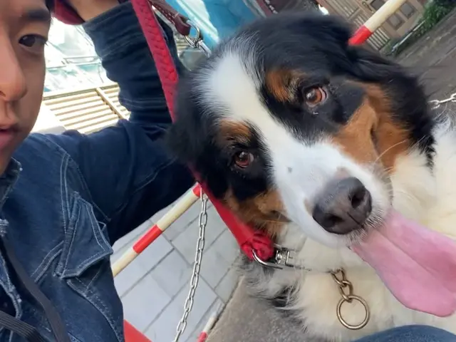 【公式】大型犬ならR&aに！まずはご相談を！サービスの画像