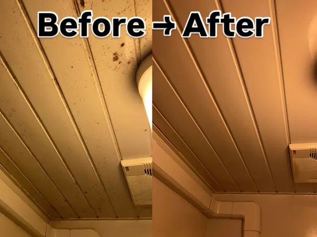 【セットでお得】浴室＆換気扇のプロ清掃セット◎丁寧作業で安心！サービスの画像