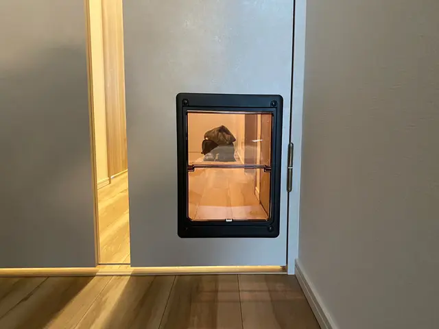 【完全自社施工！】愛するペットのために！ペットドア設置！サービスの画像