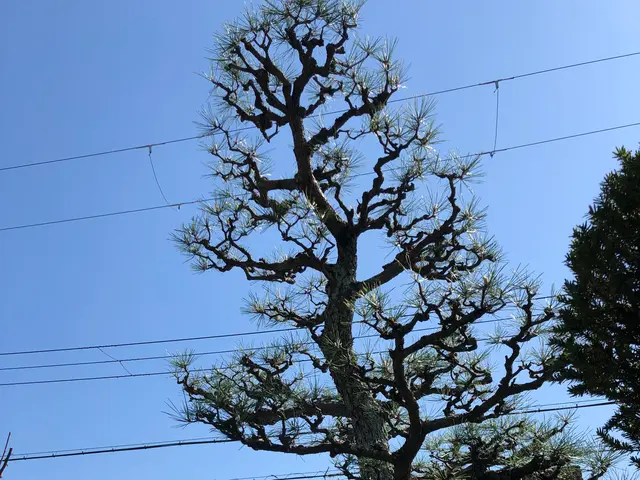 ＜年中無休で対応中◎＞営業時間外・対応地域外でもご要望お聞きします！サービスの画像