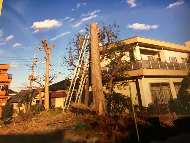 【地域密着・土曜も営業！】経験豊富なスタッフによる丁寧な庭仕事◆損保加入済サービスの画像