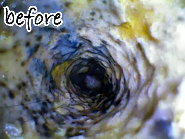 お客様のお力になります！経験と知識を活かして迅速丁寧に作業いたしますサービスの画像