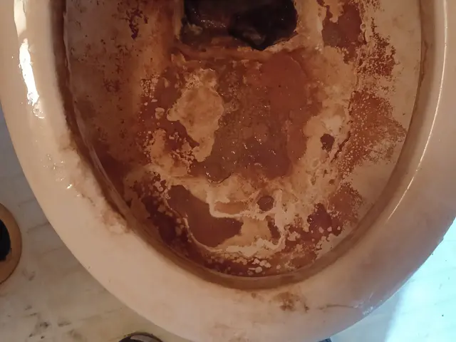 おトイレのお掃除　黄ばみ 汚れもきれいに落としますサービスの画像