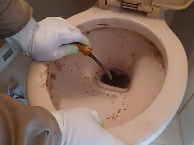 おトイレのお掃除　黄ばみ 汚れもきれいに落としますサービスの画像