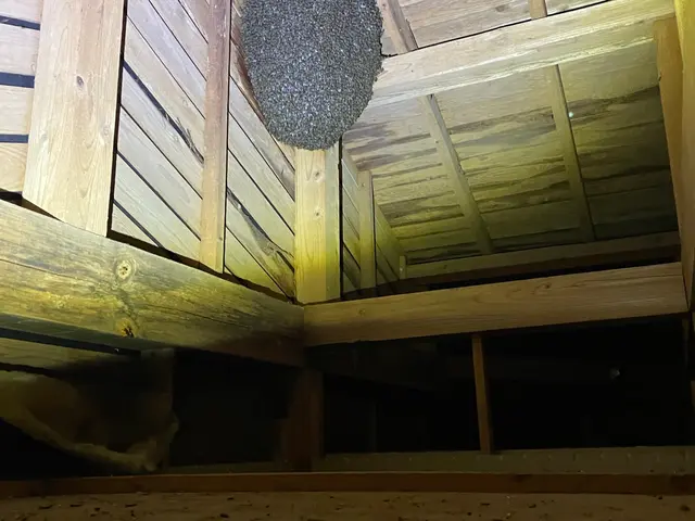 ◆年中無休◆実績多数◆即日対応可◆１年保証あります！サービスの画像