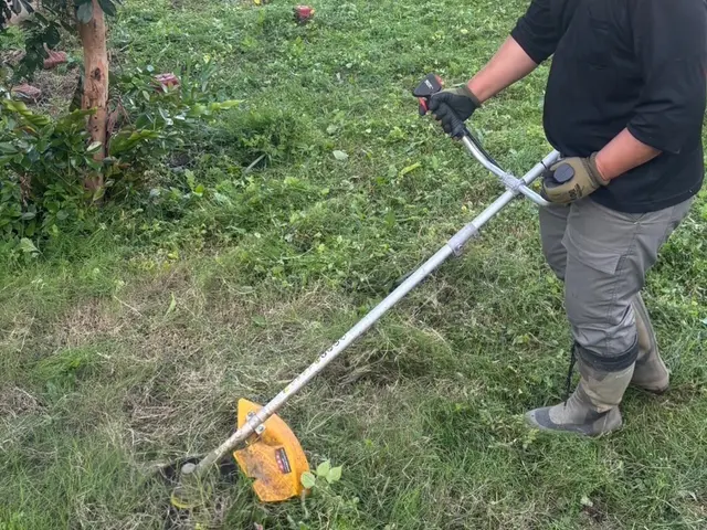 【女性スタッフ同行可】豊富な経験と知識を活かして心を込めて対応いたしますサービスの画像