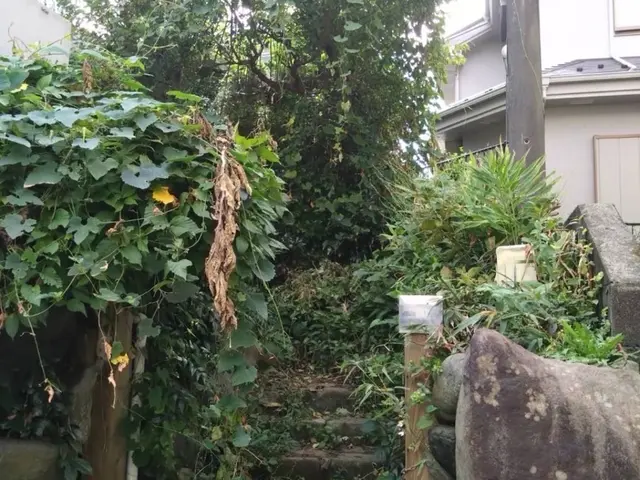 丁寧すぎる？！　よく言われます。庭木の剪定は山本企画へ！サービスの画像