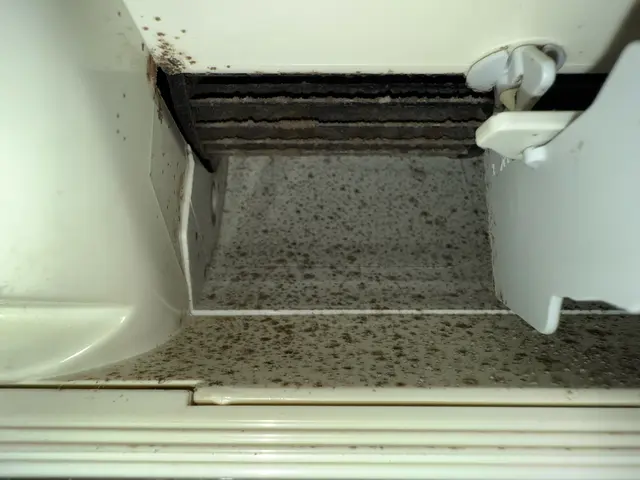 口コミ高評価◎丁寧・清潔・優しい対応で選ばれてます！プロのエアコンクリーニングサービスの画像