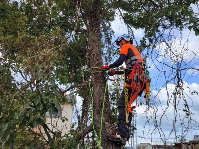 ◎業歴8年　実績1000件以上　◎対応地域外も対応いたしますサービスの画像