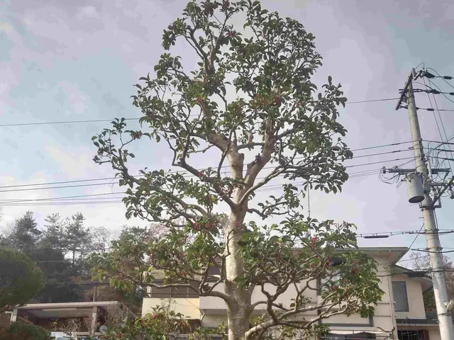 ◎業歴8年　実績1000件以上　◎対応地域外も対応いたしますサービスの画像