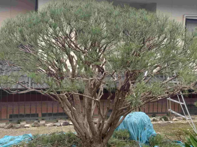 ◎業歴8年　実績1000件以上　◎対応地域外も対応いたしますサービスの画像