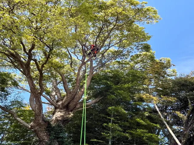 ◎業歴8年　実績1000件以上　◎対応地域外も対応いたしますサービスの画像