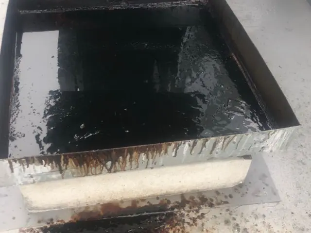 【経験27年の実績】ペット赤ちゃん◎フッ素コート◎思わず笑顔になりますサービスの画像