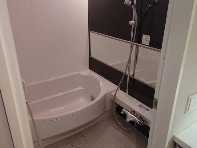 【クレカ・QR決済 OK！】『カビ』『しつこい固まり』丁寧に除去！サービスの画像