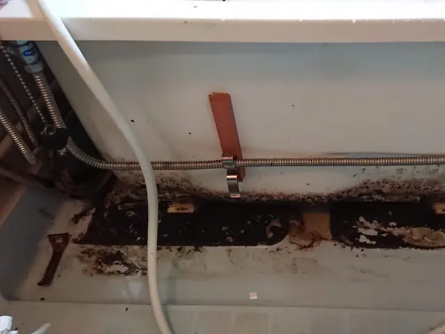 【クレカ・QR決済 OK！】『カビ』『しつこい固まり』丁寧に除去！サービスの画像