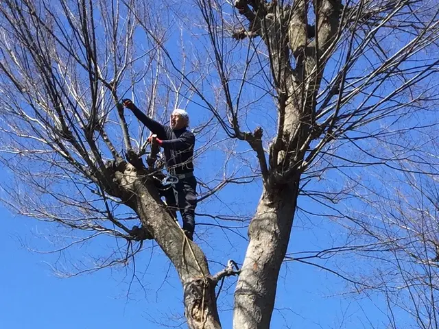 【業歴35年の経験と実績】迅速丁寧に対応します！ご要望お聞かせください！サービスの画像